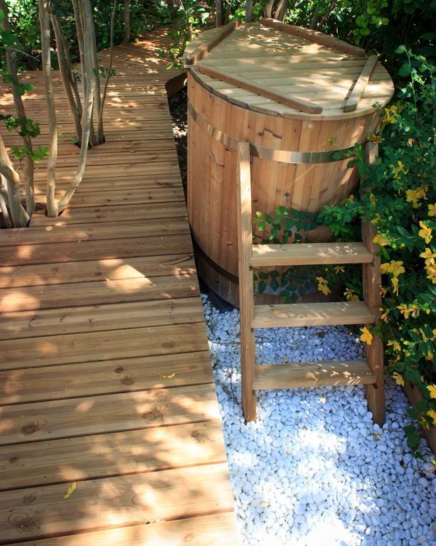 Gite Des Carmes And Spa Le Thor Exterior foto